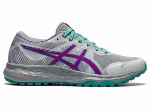 Buty Do Biegania W Terenie Damskie Asics Gel-scram 6 Szare Fioletowe | 43072-DFPZ