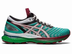 Buty Sportowe Damskie Asics Fn1-s Gel-nimbus 22 Srebrne | 03172-WXYR