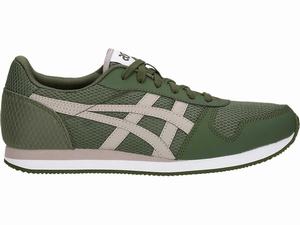 Buty Sportowe Męskie Asics Curreo Ii Kolorowe | 65732-ORLN