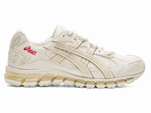 Buty Sportowe Męskie Asics Gel-kayano 5 360 Beżowe | 06395-MUOI