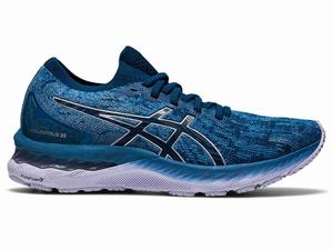 Buty do Biegania Damskie Asics Gel-nimbus 23 Knit Szare Niebieskie | 07436-MLWI