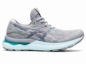 Buty do Biegania Damskie Asics Gel-nimbus 24 Mk Szare | 69752-WQBA