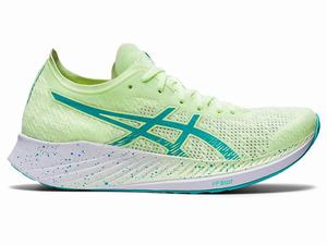 Buty do Biegania Damskie Asics Magic Speed Żółte | 84706-WUMG