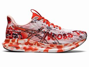 Buty do Biegania Damskie Asics Noosa Tri 14 Białe Czarne | 58042-PNEG