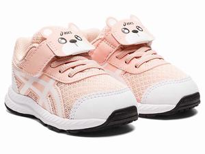 Buty do Biegania Dziecięce Asics Contend 7 Size Kawa Kawa | 01829-FWKY