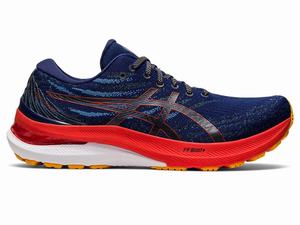 Buty do Biegania Męskie Asics Gel-kayano 29 (4e) Różowe | 06591-PHFW