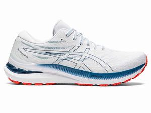 Buty do Biegania Męskie Asics Gel-kayano 29 Białe Jasny | 12679-KAYN