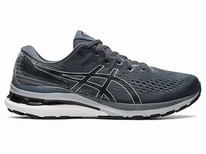 Buty do Biegania Męskie Asics Gel-kayano 28 Szare Czarne | 25794-BOMN