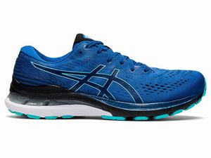 Buty do Biegania Męskie Asics Gel-kayano 28 (2e) Czarne | 51396-GLVK