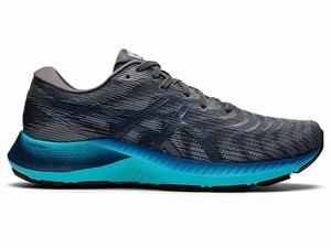 Buty do Biegania Męskie Asics Gel-kayano Lite 2 Szare | 51706-VDUY