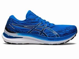 Buty do Biegania Męskie Asics Gel-kayano 29 Niebieskie Białe | 53790-LCVW