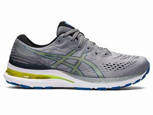 Buty do Biegania Męskie Asics Gel-kayano 28 Zielone | 73520-ZEDB