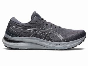 Buty do Biegania Męskie Asics Gel-kayano 29 (2e) Białe | 93056-TKEG