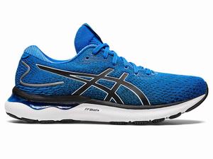 Buty do Biegania Męskie Asics Gel-nimbus 24 Niebieskie Szare | 42019-PNCJ