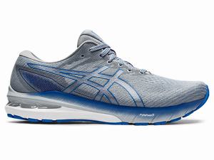 Buty do Biegania Męskie Asics Gt-2000 10 (2e) Niebieskie | 62841-QYBG