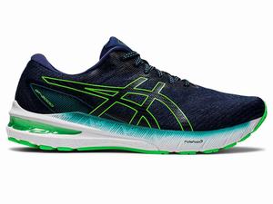 Buty do Biegania Męskie Asics Gt-2000 10 (2e) Kolorowe | 89516-OVNH