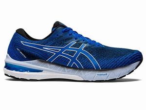 Buty do Biegania Męskie Asics Gt-2000 10 Niebieskie Białe | 90764-TLKN