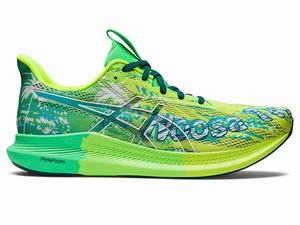 Buty do Biegania Męskie Asics Noosa Tri 14 Żółte Białe | 13904-OGQH