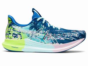 Buty do Biegania Męskie Asics Noosa Tri 14 Białe | 34689-HOUZ