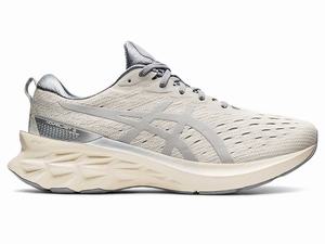 Buty do Biegania Męskie Asics Novablast 2 Sps Szare Szare | 56784-TQMJ