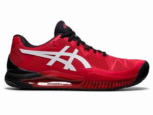 Buty do Tenisa Męskie Asics Gel-resolution 8 Czerwone Białe | 38096-CBOW