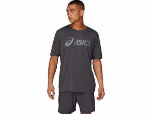 Koszulki Męskie Asics Triblend Treningowe Jasny Szare | 97351-PTFJ