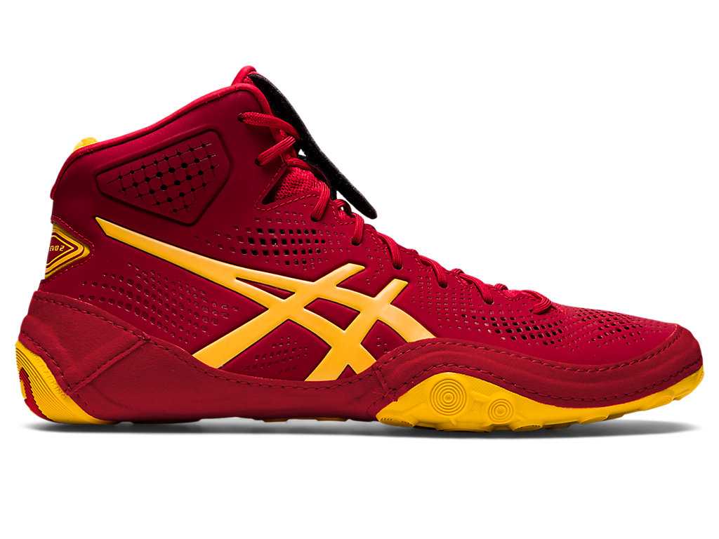 Buty Zapaśnicze Męskie Asics Dan Gable Evo 2 Kolorowe | 79543-RIOD