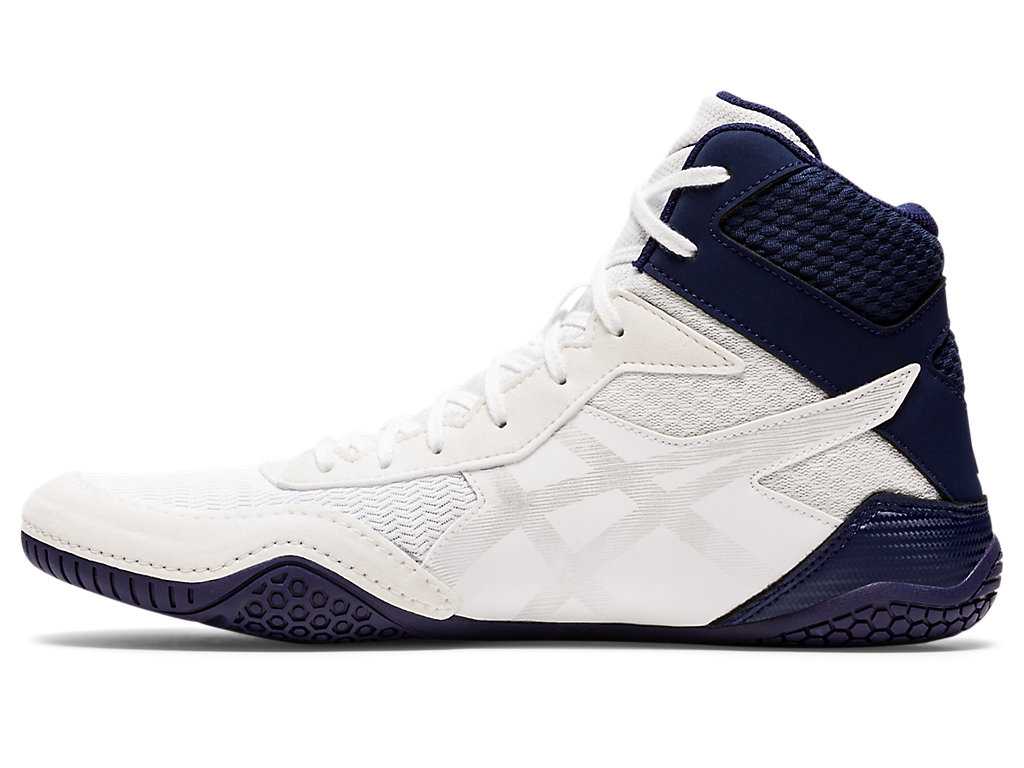 Buty Zapaśnicze Męskie Asics Matcontrol 2 Białe Srebrne | 91860-DVWB