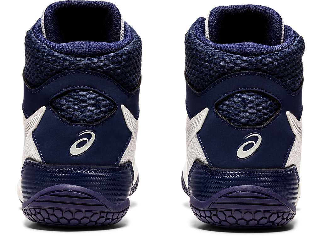 Buty Zapaśnicze Męskie Asics Matcontrol 2 Białe Srebrne | 91860-DVWB