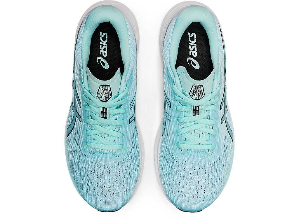 Buty do Biegania Damskie Asics Evoride 3 Niebieskie Czarne | 01829-VWJD