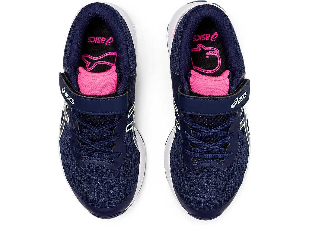 Buty do Biegania Dziecięce Asics Gt-1000 9 Pre-school Szare Srebrne | 97402-IAET