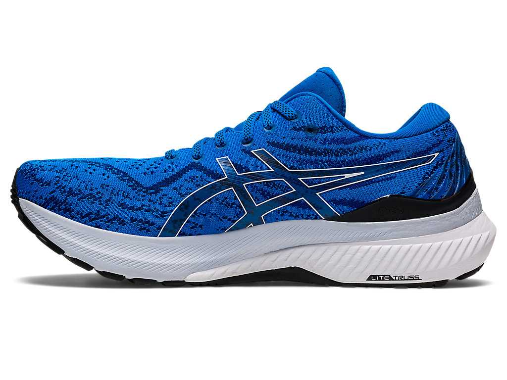 Buty do Biegania Męskie Asics Gel-kayano 29 Niebieskie Białe | 53790-LCVW