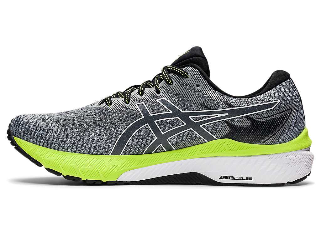 Buty do Biegania Męskie Asics Gt-2000 10 (2e) Szare Białe | 85217-GUHW