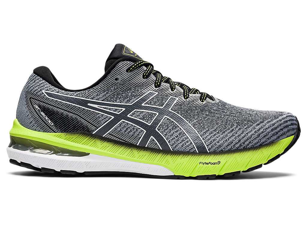 Buty do Biegania Męskie Asics Gt-2000 10 (2e) Szare Białe | 85217-GUHW