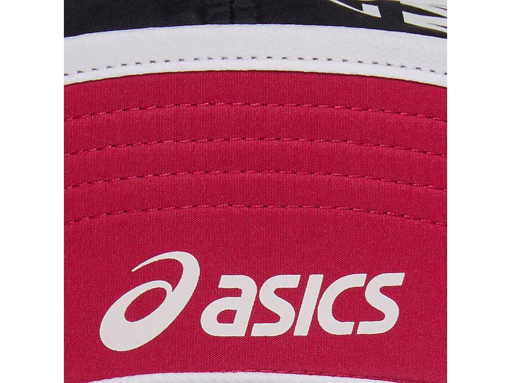 Czapki Męskie Asics Lam 5 Panel Kolorowe | 59781-DENH